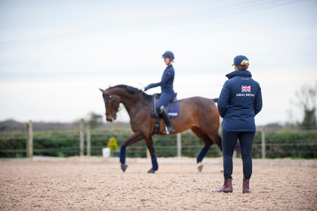 Training Horse Riding Pony Club Polocrosse